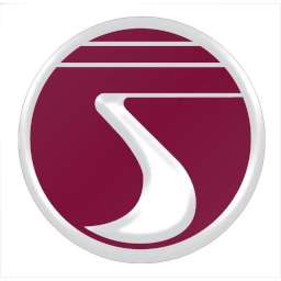 Airline logo