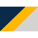Airline logo
