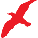 Airline logo