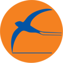 Airline logo