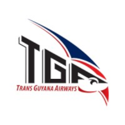 Airline logo