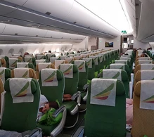 Ethiopian Airlines Airbus A350-900 V.1 photo