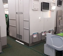Ethiopian Airlines Airbus A350-900 V.1 photo