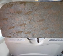 Vietnam Airlines Airbus A321-200 V.3 photo