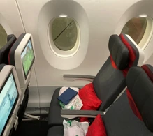 Turkish Airlines Airbus A350-900 V.1 photo