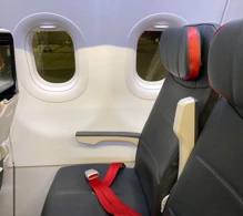 Turkish Airlines Airbus A321neo V.2 photo