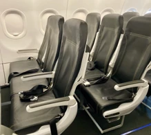 Viva Airbus A321neo V.2 photo