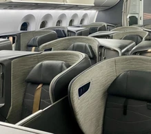 Turkish Airlines Boeing 787-9 photo