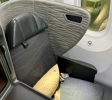 Turkish Airlines Boeing 787-9 photo