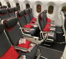 Turkish Airlines Boeing 787-9 photo