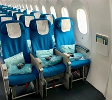 Vietnam Airlines Boeing 787-9 V.2 photo