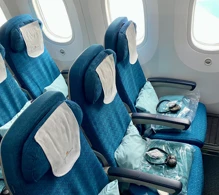 Vietnam Airlines Boeing 787-9 V.2 photo