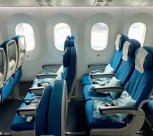 Vietnam Airlines Boeing 787-9 V.2 photo