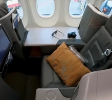 Singapore Airlines Boeing 737 MAX 8 photo