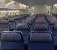 American Airlines Boeing 787-8 V.1 photo