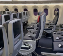 American Airlines Boeing 787-8 V.1 photo