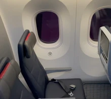 American Airlines Boeing 787-8 V.1 photo