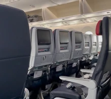 American Airlines Boeing 787-8 V.1 photo