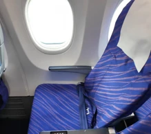 China Southern Boeing 737 MAX 8 V.1 photo