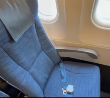 Air Canada Airbus A320-200 V.1 photo