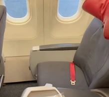 Air Canada Airbus A319-100 V.2 photo