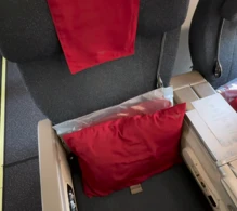 Garuda Indonesia Boeing 737-800 V.1 photo