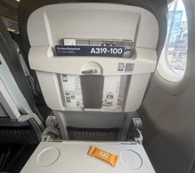 Lufthansa Airbus A319-100 V.2 photo