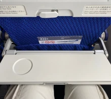 ANA - All Nippon Airways Airbus A321-200 photo