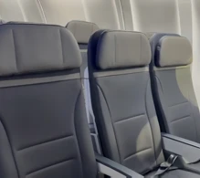 Alaska Airlines Boeing 737-800 V.2 photo