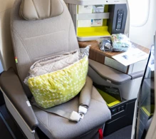 TAP Air Portugal Airbus A330-900neo photo