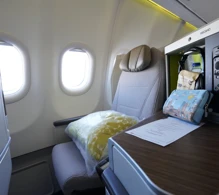 TAP Air Portugal Airbus A330-900neo photo