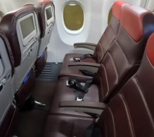 Malaysia Airlines Boeing 737-800 V.1 photo