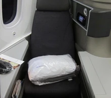 American Airlines Boeing 787-8 V.2 photo