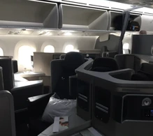 American Airlines Boeing 787-8 V.2 photo