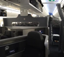American Airlines Boeing 787-8 V.2 photo