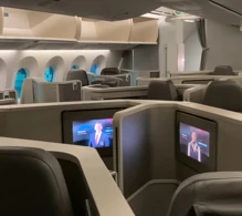 American Airlines Boeing 787-8 V.2 photo