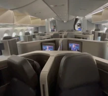 American Airlines Boeing 787-8 V.2 photo