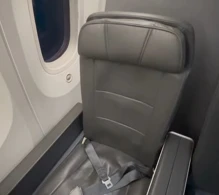 American Airlines Boeing 787-8 V.2 photo