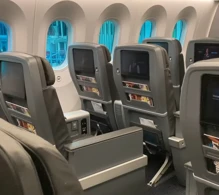 American Airlines Boeing 787-8 V.2 photo