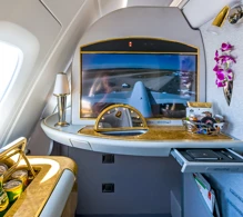 Emirates Airbus A380-800 V.10 photo