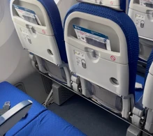 ANA - All Nippon Airways Boeing 787-8 V.2 photo