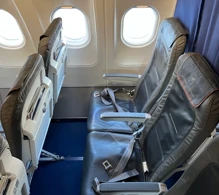 Lufthansa Airbus A319-100 V.3 photo