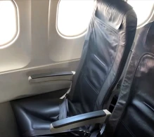 Lufthansa Airbus A319-100 V.3 photo