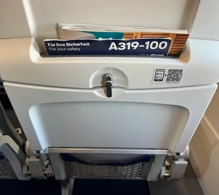 Lufthansa Airbus A319-100 V.3 photo
