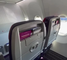 Caribbean Airlines Boeing 737 MAX 8 photo