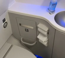 Delta Airbus A330-900neo photo