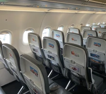 Viva Airbus A321neo V.1 photo