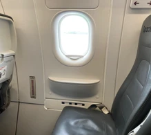Viva Airbus A321neo V.1 photo