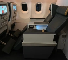 Turkish Airlines Airbus A321neo V.1 photo