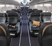 Turkish Airlines Boeing 737-900 ER V.1 photo